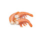 Креветка аргентинская /ЛАНГУСТИНЫ/  без головы,  С2 50/100 2 кг кор.