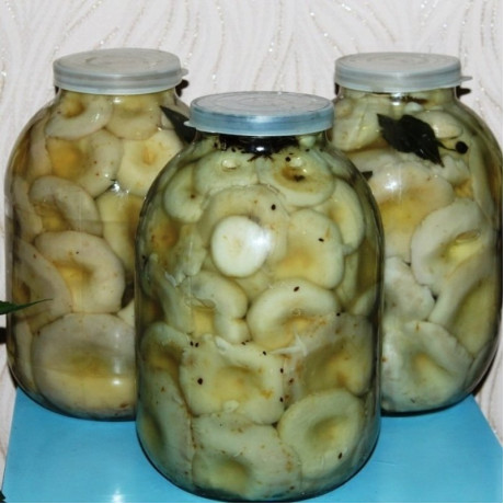 Грузди соленые, банка 3 л Грузди соленые, банка 3 л